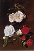 unknow artist Floral, beautiful classical still life of flowers 028 oil painting on canvas